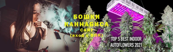 ALPHA PVP Новодвинск