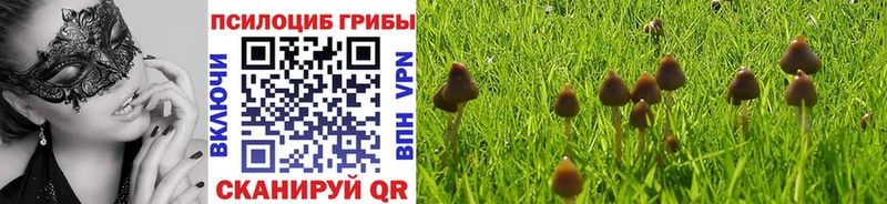 shop официальный сайт  Юхнов  Псилоцибиновые грибы прущие грибы 